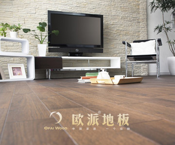 復(fù)合地板品牌