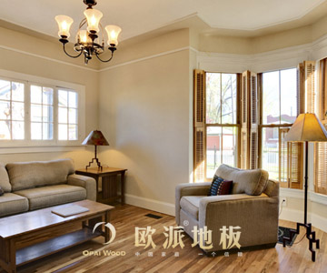 強(qiáng)化地板