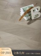 OP-JS01 立體幾何強(qiáng)化地板