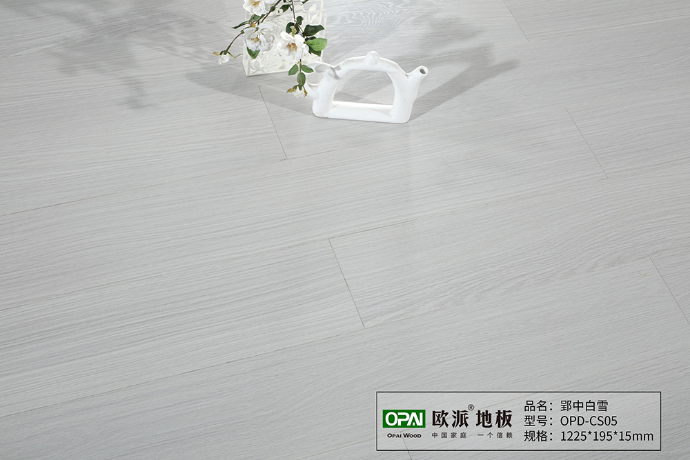 OPD-CS05郢中白雪